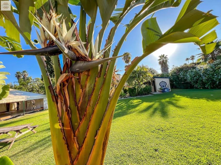 Finca Tierra Sana Estepona Exteriör bild