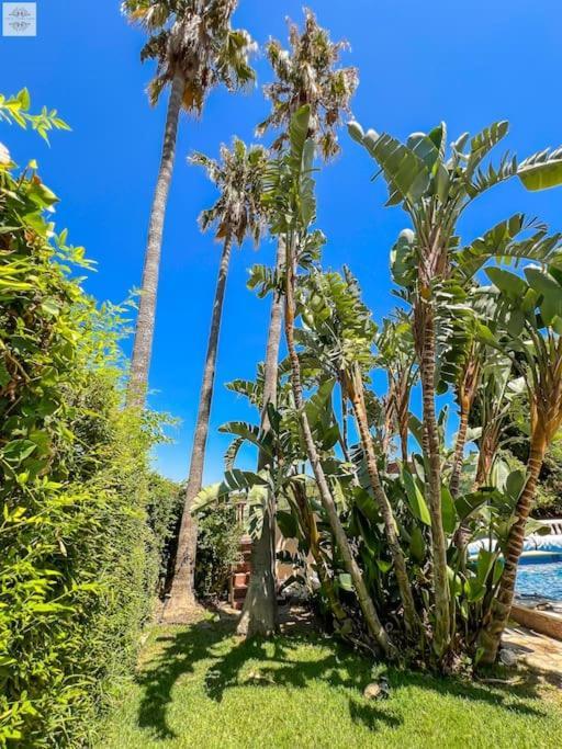 Finca Tierra Sana Estepona Exteriör bild
