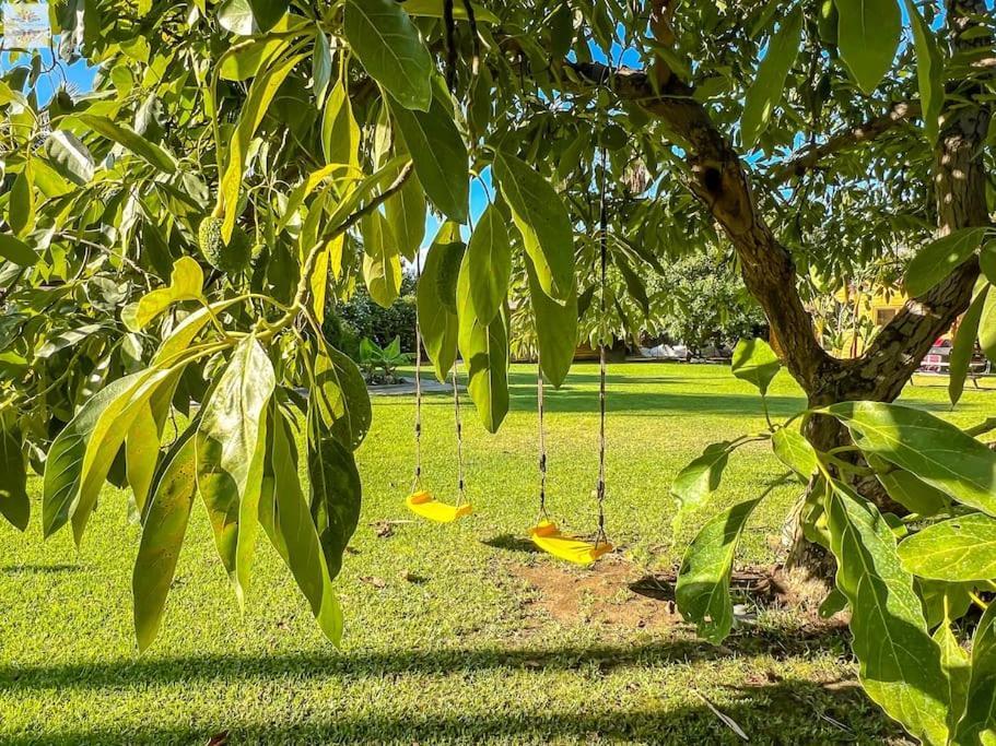 Finca Tierra Sana Estepona Exteriör bild